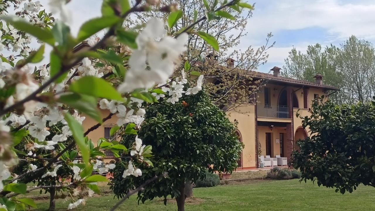 Il Chiassetto Agriturismo No Kids Cascina Ngoại thất bức ảnh