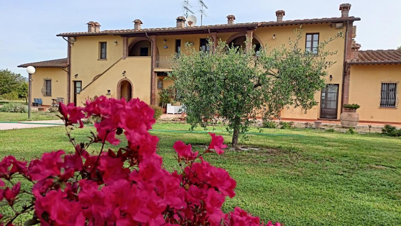 Il Chiassetto Agriturismo No Kids Cascina Ngoại thất bức ảnh