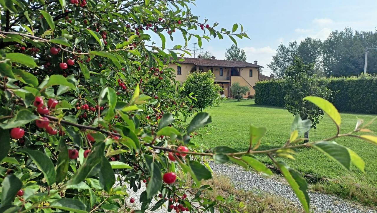 Il Chiassetto Agriturismo No Kids Villa Cascina Ngoại thất bức ảnh