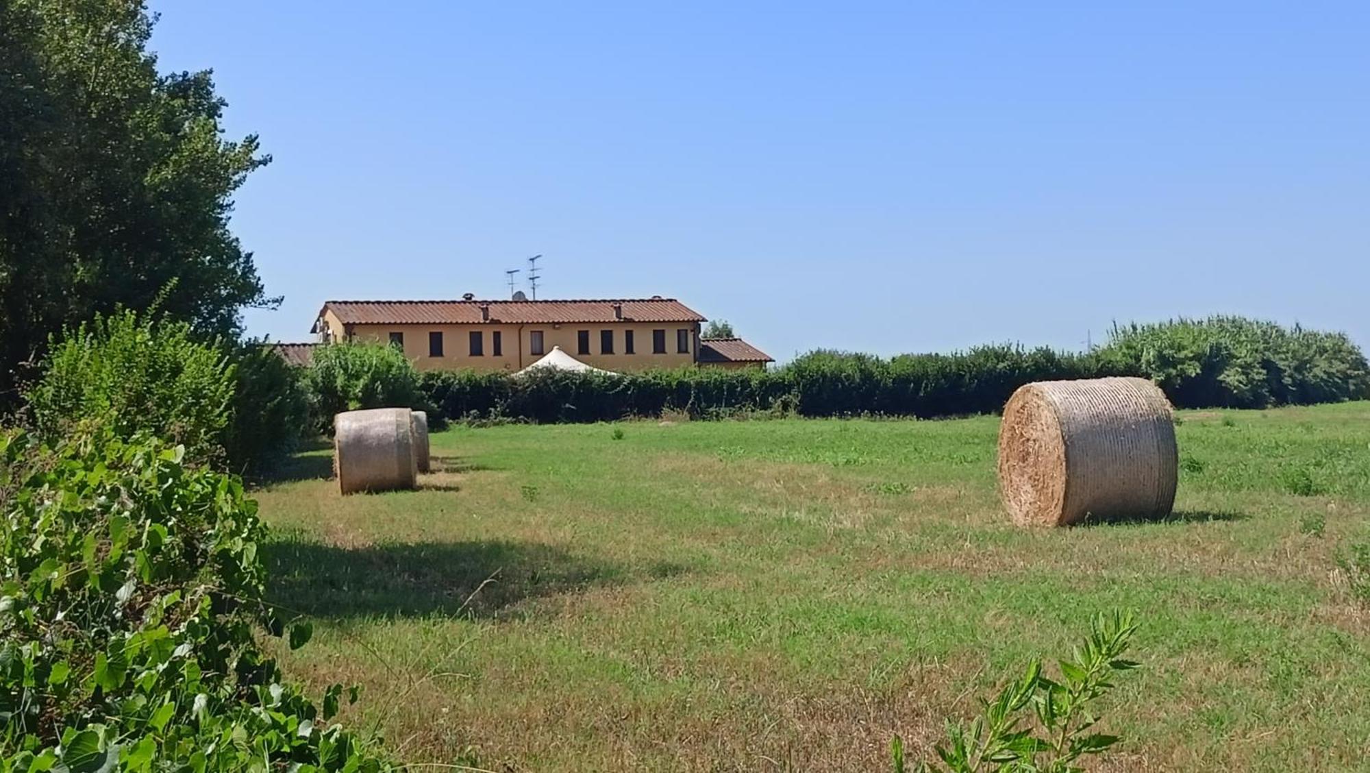 Il Chiassetto Agriturismo No Kids Cascina Ngoại thất bức ảnh