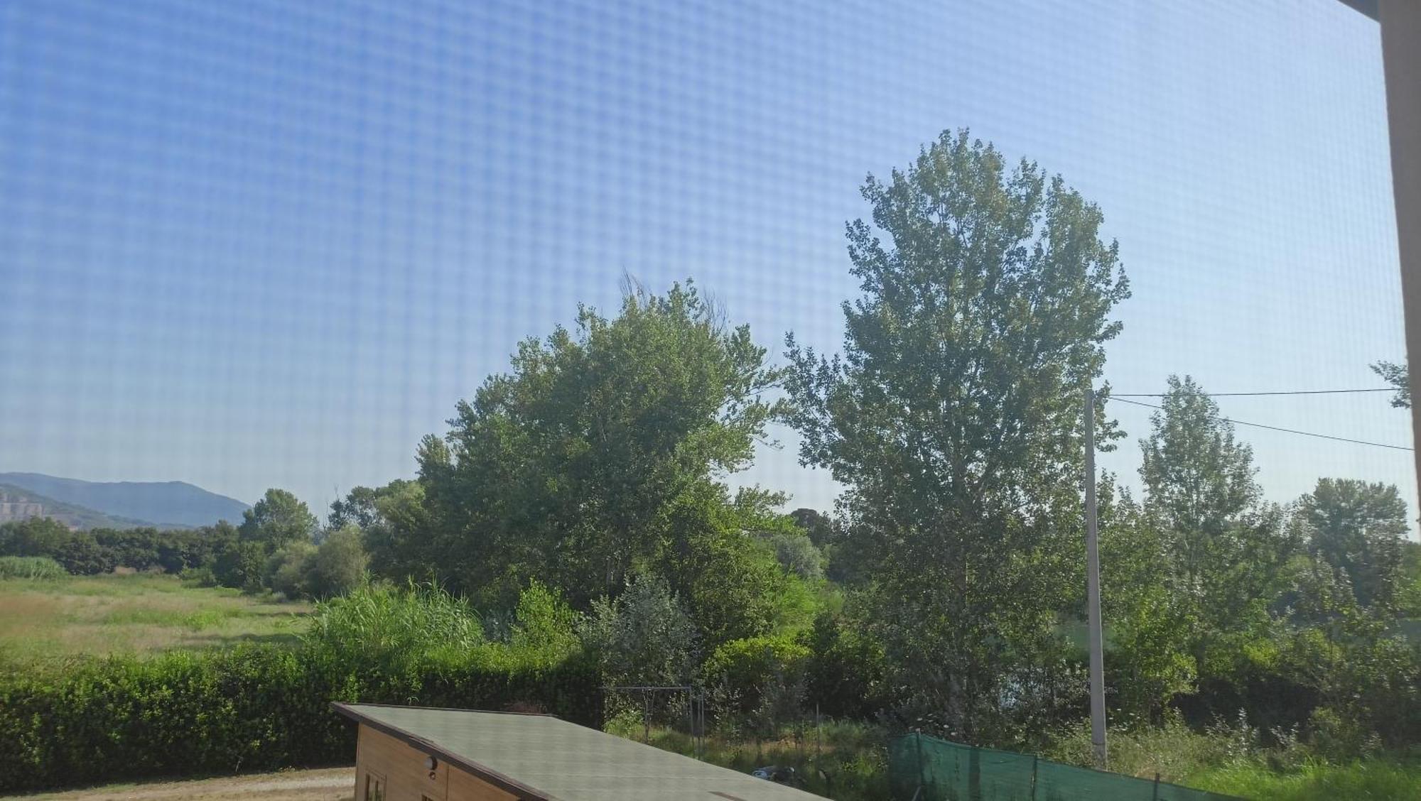 Il Chiassetto Agriturismo No Kids Cascina Phòng bức ảnh